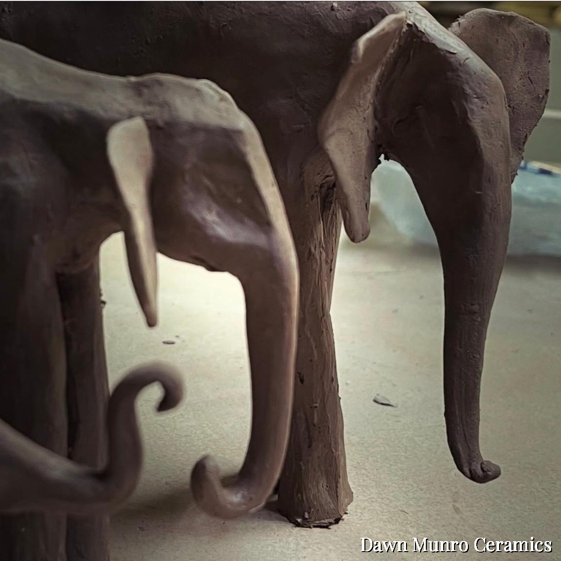 Elephants